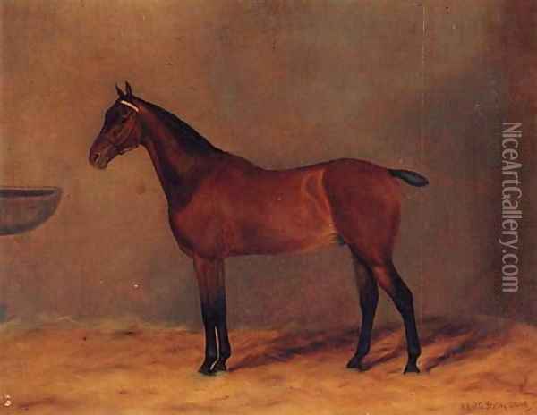 Bay Rum, a bay Hunter in a Stable Oil Painting - G. Stirling-Brown