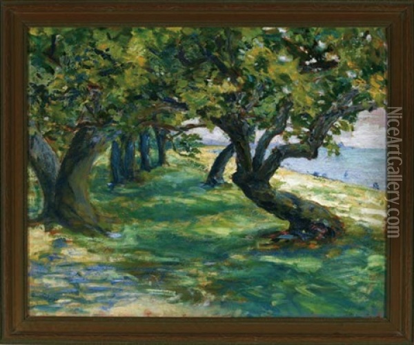 Tree Lined Path Near The California Coast Oil Painting - Marie Arentz Reimers