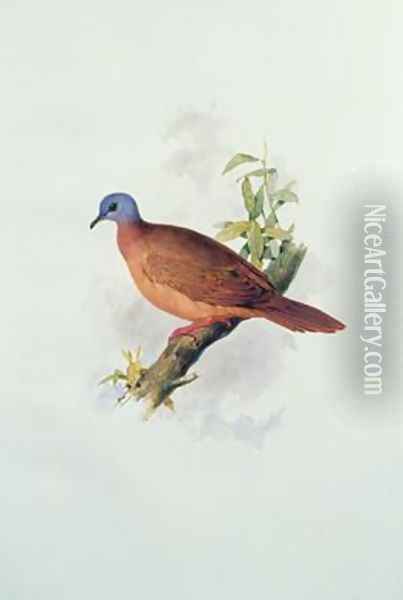 Pigeon-type Oil Painting - Edward Lear