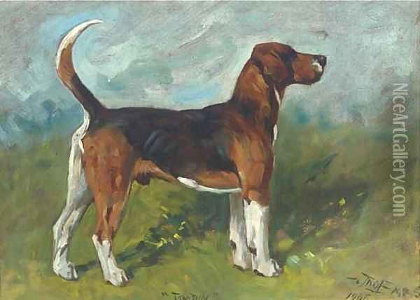 Tomboy, a hound in a landscape Oil Painting - John Emms