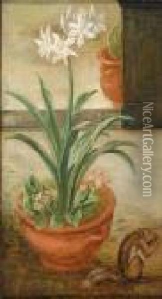 A Lily In A Pot With Asquirrel Oil Painting - Jan van Kessel