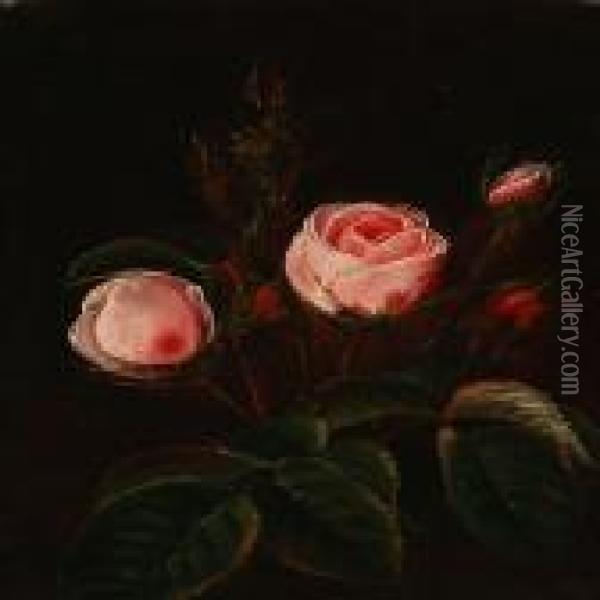 Newly Blooming Pinkroses Oil Painting - I.L. Jensen