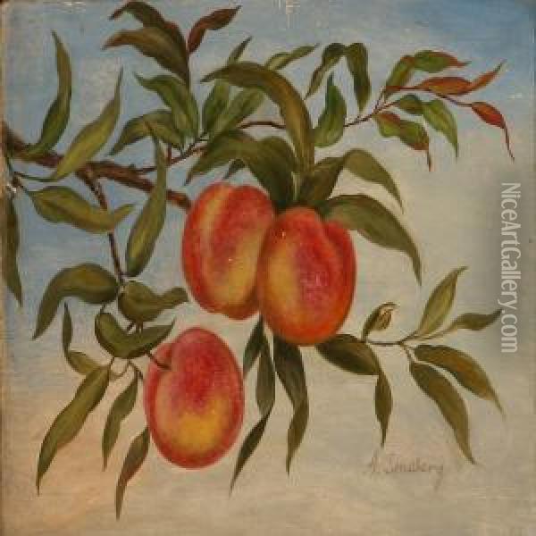 A Twig With Mature Apples Oil Painting - Adamine Sindberg