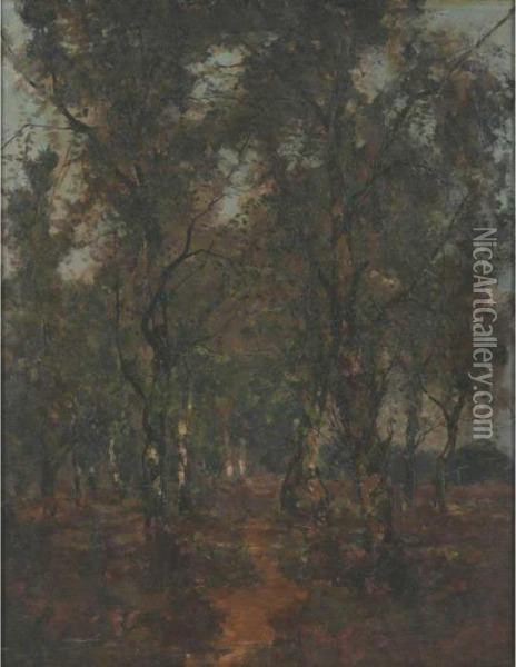 The Forest Glade Oil Painting - Theophile Emile Achille De Bock