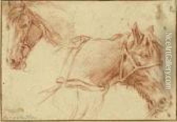 Two Studies Of The Head Of A Horse Oil Painting - Adrian Van De Velde