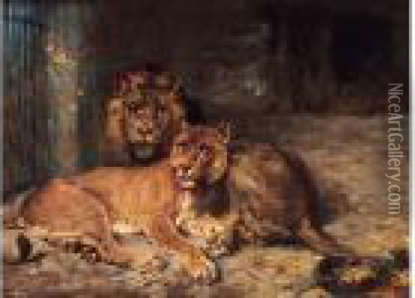 < Lion Et Lionne >. Oil Painting - Paul Friedrich Meyerheim