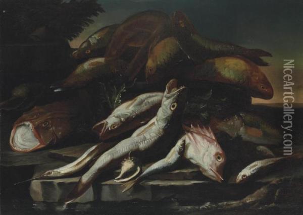 A Monk Fish, A Garfish, Parrotfish And Other Fish On A Rocky Shore Oil Painting - Giuseppe Recco
