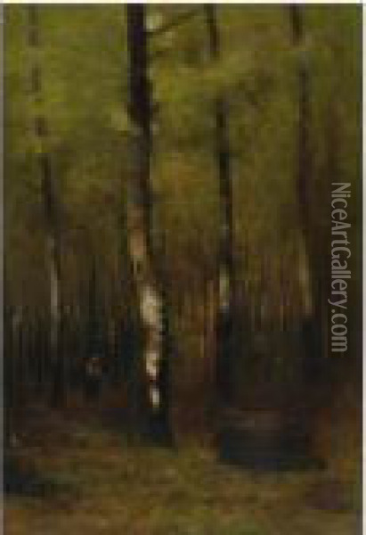 Woodland Oil Painting - Laszlo Mednyanszky