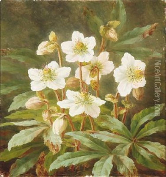Christmas Roses Oil Painting - Anthonie Eleonore (Anthonore) Christensen