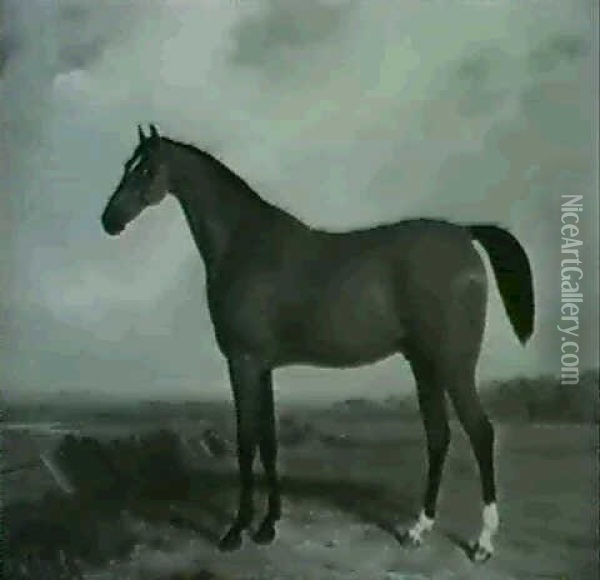 Bay Stallion Oil Painting - William Barraud