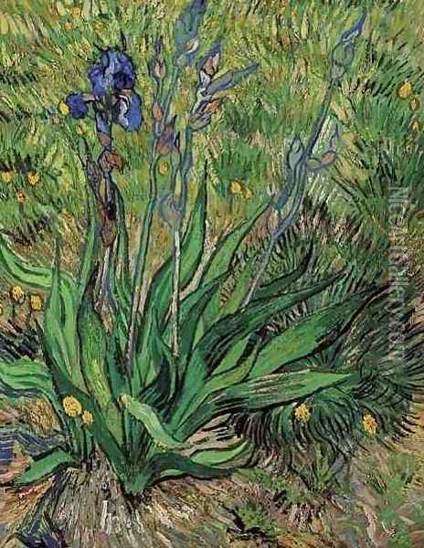 The Iris Oil Painting - Vincent Van Gogh