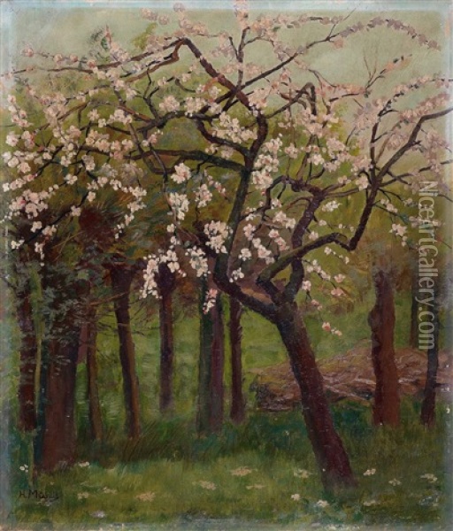 Bluhende Apfelbaume Oil Painting - Hugo Muehlig