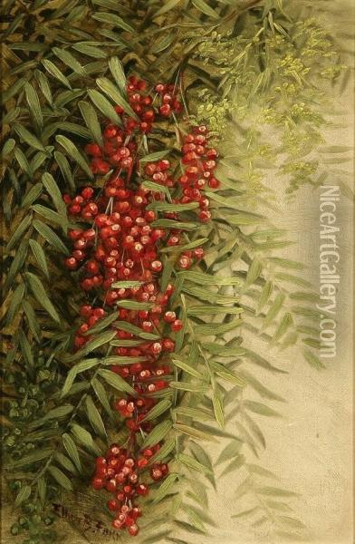 Pepper Tree Oil Painting - Ellen Frances Farr