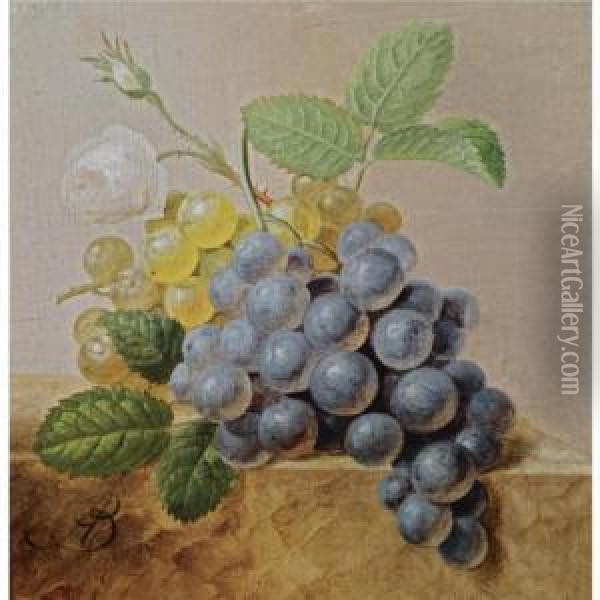 A Still Life With Grapes Oil Painting - Arnoldus Bloemers