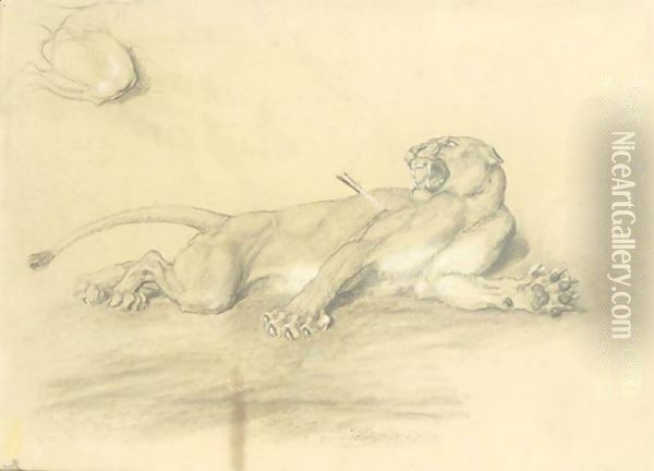 Wounded Lioness Oil Painting - Briton Riviere
