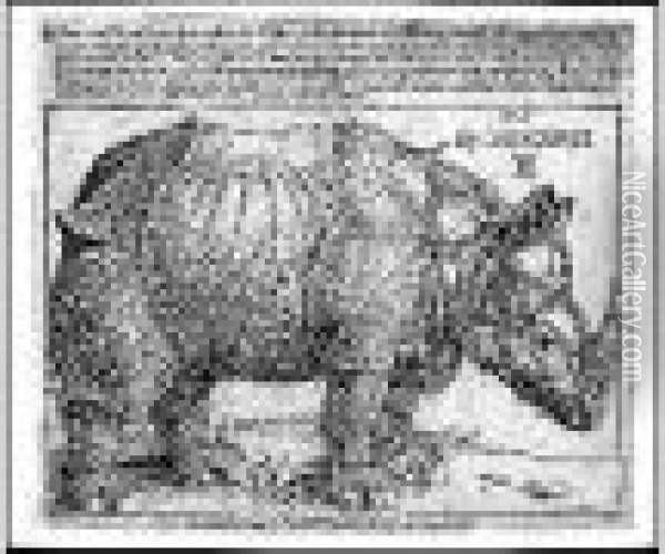 Le Rhinoceros. 1515. Oil Painting - Albrecht Durer