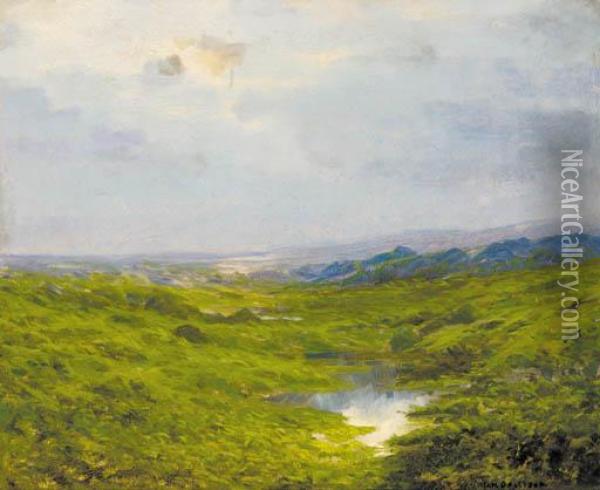 A Marshland Landscape With Mountains Beyond Oil Painting - Henry Hammond Gallison