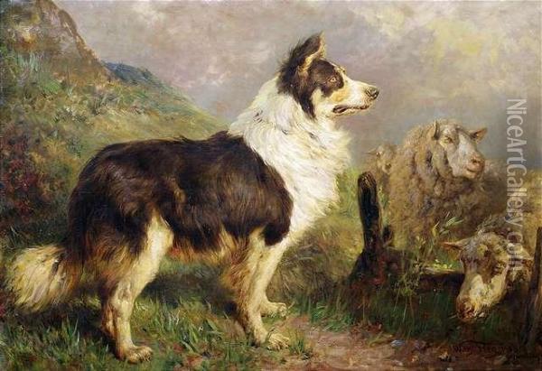 A Herding Dog With Sheep. Oil Painting - Wilhelm Frey