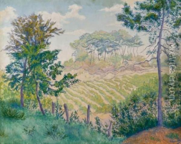 Paysage De Bretagne Oil Painting - Paul-Elie Ranson