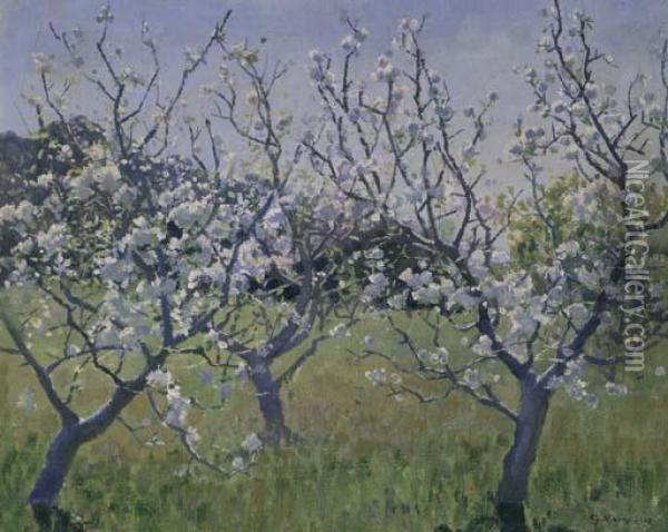 Spring In The Orchard Oil Painting - Elioth Gruner