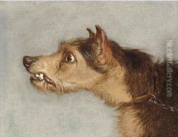 The head of terrier; and The head of lurcher Oil Painting - Martin Theodore Ward
