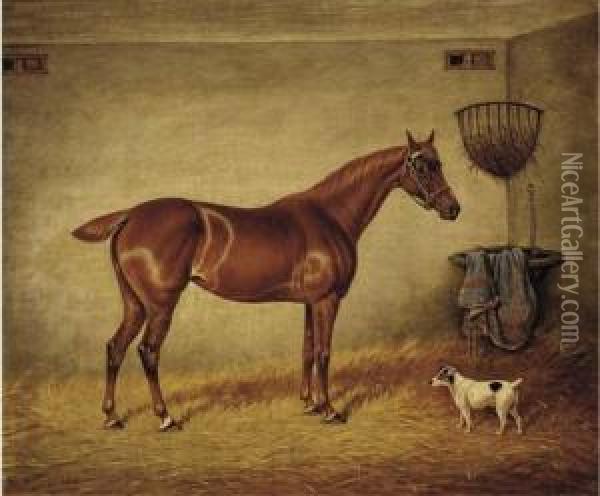 A Chestnut Racehorse And A Jack Russell In A Stable Oil Painting - William Eddowes Turner