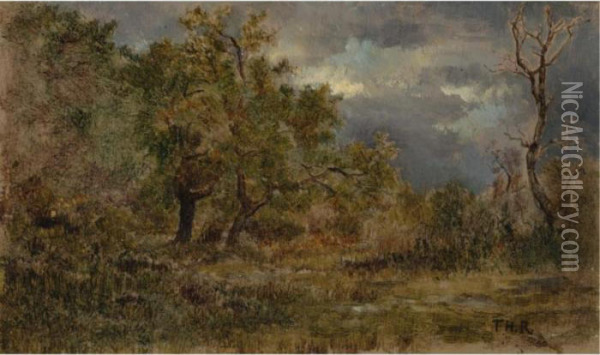 Clairiere En Foret De Fontainebleau Oil Painting - Theodore Rousseau