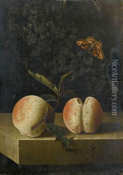 Still Life With Two Peaches And A Fritillary Butterfly On A Stone Ledge Oil Painting - Adriaen Coorte