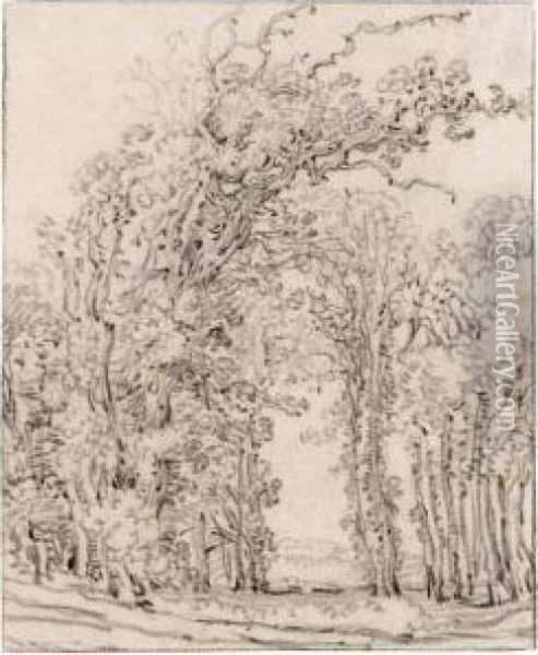 Study Of Trees Oil Painting - Frans, Francois Ryckhals
