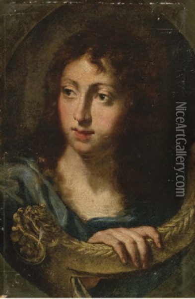 Ritratto Di Giovane In Abiti Classici Oil Painting - Baldassare Franceschini