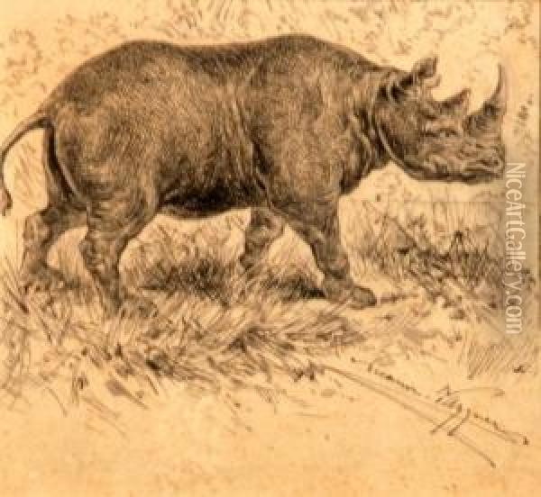Rinoceronte Oil Painting - Nicanor Vazquez Ubach