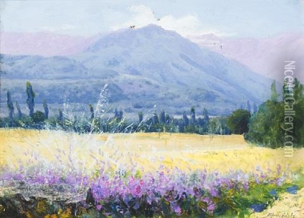 Hills, Field And Lucerne, Chile Oil Painting - Alfredo Helsby