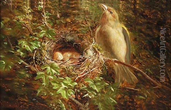 A Greenfinch at its Nest Oil Painting - William Hughes