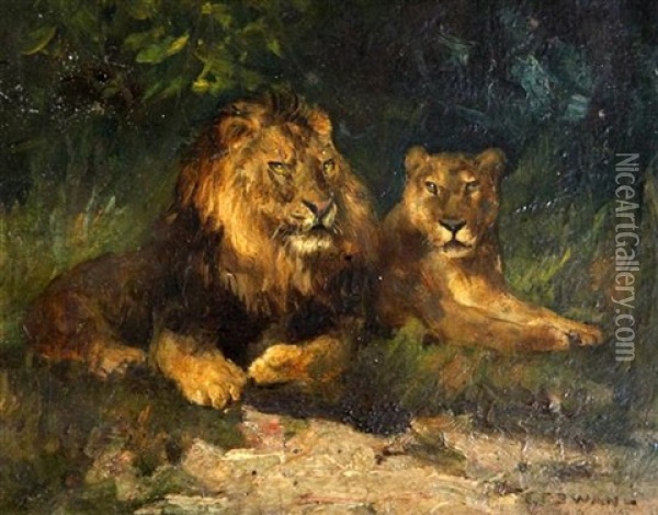 Studies Of Lions And A Tiger (a Pair) Oil Painting - Cuthbert Edmund Swan