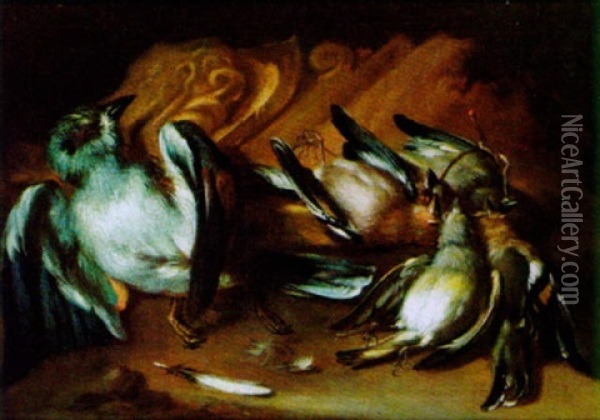 Erlegte Vogel Oil Painting - Philipp Ferdinand de Hamilton