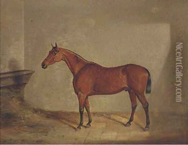 A bay hunter in a stable Oil Painting - English School