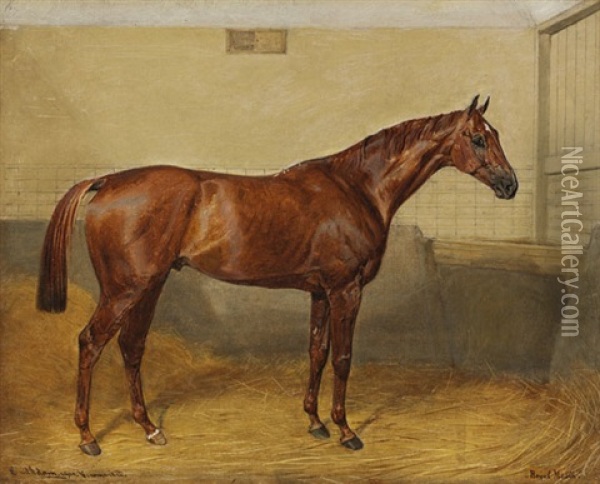 Das Springpferd Royal Meath Im Stall Oil Painting - Emil Adam