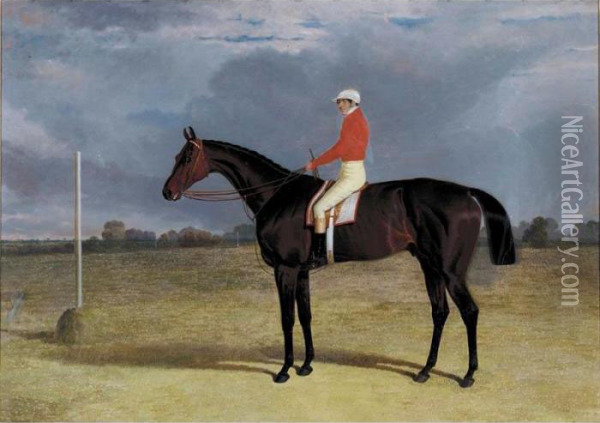A Dark Bay Racehorse With Patrick Connolly Up Oil Painting - John Frederick Herring Snr