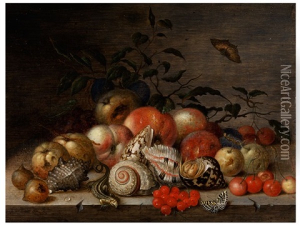 Fruchtestilleben Mit Muscheln, Krebs Und Eidechse Oil Painting - Balthasar Van Der Ast