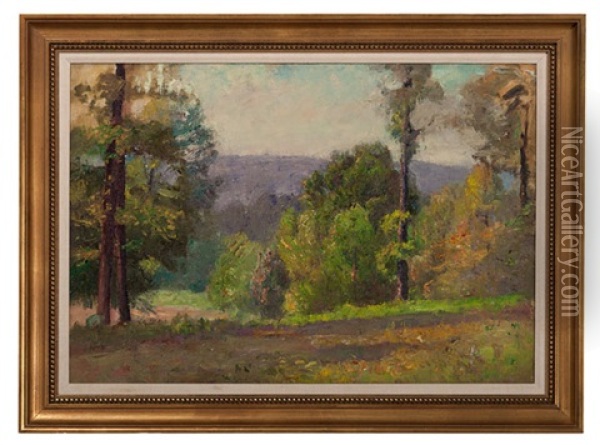 Sun-kissed Trees Oil Painting - Theodore Clement Steele