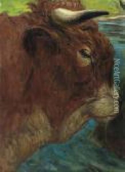 Kopf Einer Kuh. Teil Eines Grossen Gemaldes. Oil Painting - Rudolf Koller