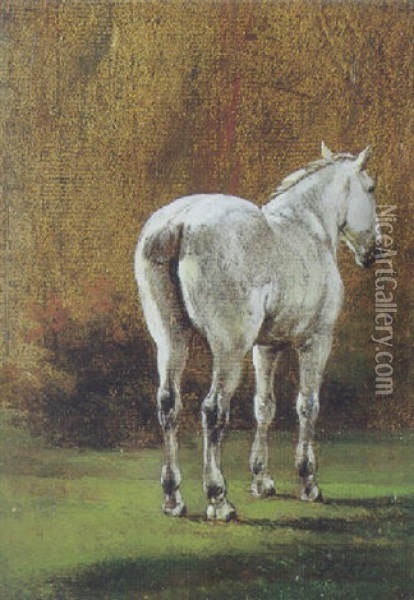 Studie Af En Hest Oil Painting - Johan Christian Dahl
