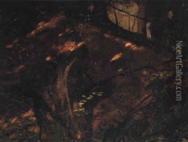 Solbelyst Skogsparti Oil Painting - Albert Edelfelt