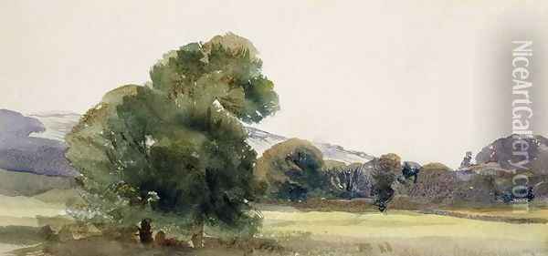 Trees in a Field Oil Painting - Peter de Wint