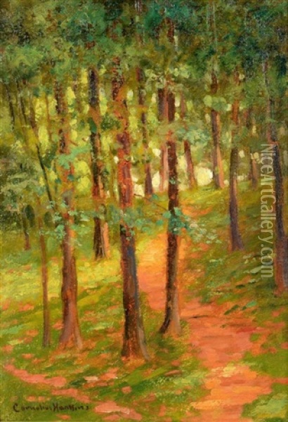 Landscape Oil Painting - Cornelius H. Hankins