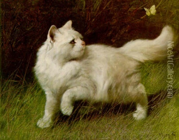 A White Persian Chasing A Butterfly Oil Painting - Arthur Heyer