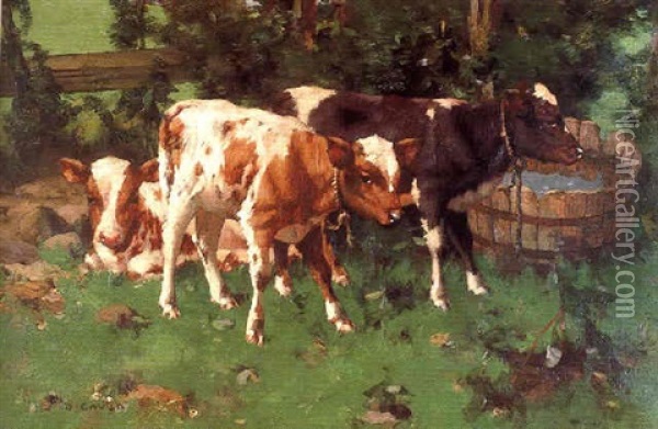 Calves By A Waterbutt Oil Painting - David Gauld