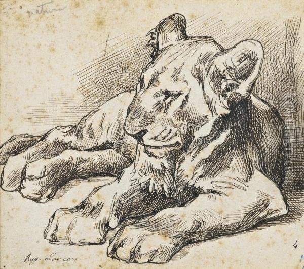 Study Of A Lion Cub Oil Painting - Auguste Lancon