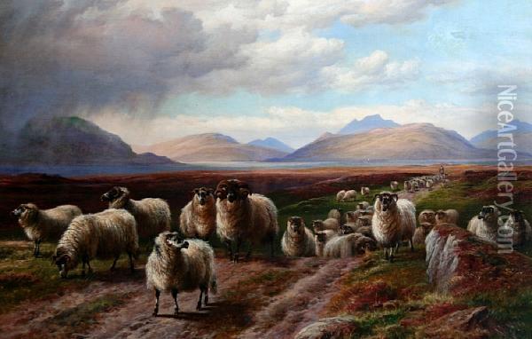 Drover And Sheep On A Road In The Scottishisles Oil Painting - Charles Jones