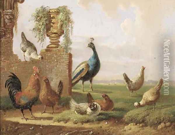 Poultry and a peacock by a ruin Oil Painting - Albertus Verhoesen